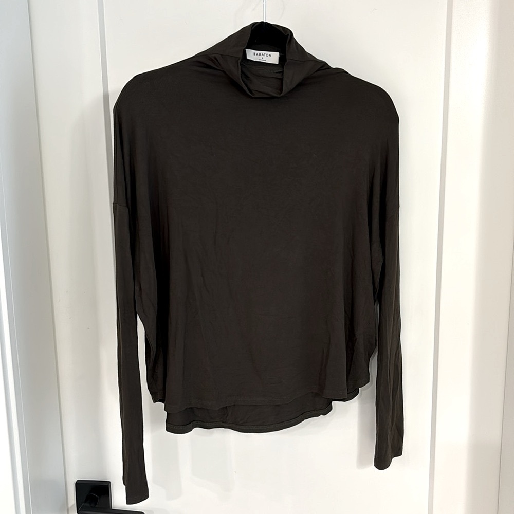 Babaton Turtleneck
